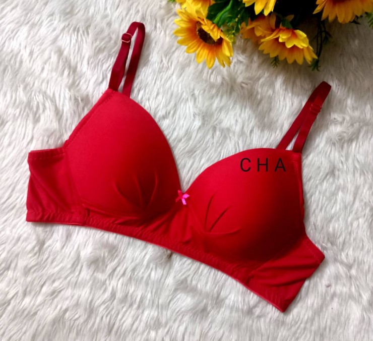 প্রিমিয়াম কোয়ালিটির রেড ব্রা – আল্ট্রা কমফোর্ট ও স্টাইলিশ ডিজাইন